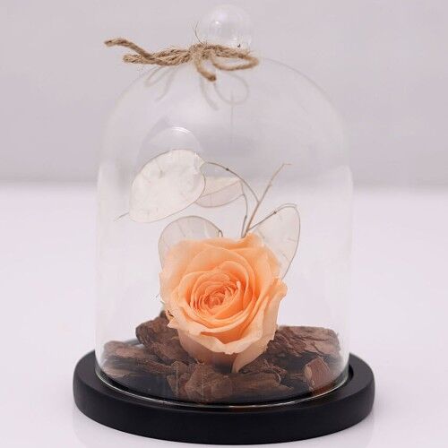 A forever rose in a glass dome calls to mind everlasting love
